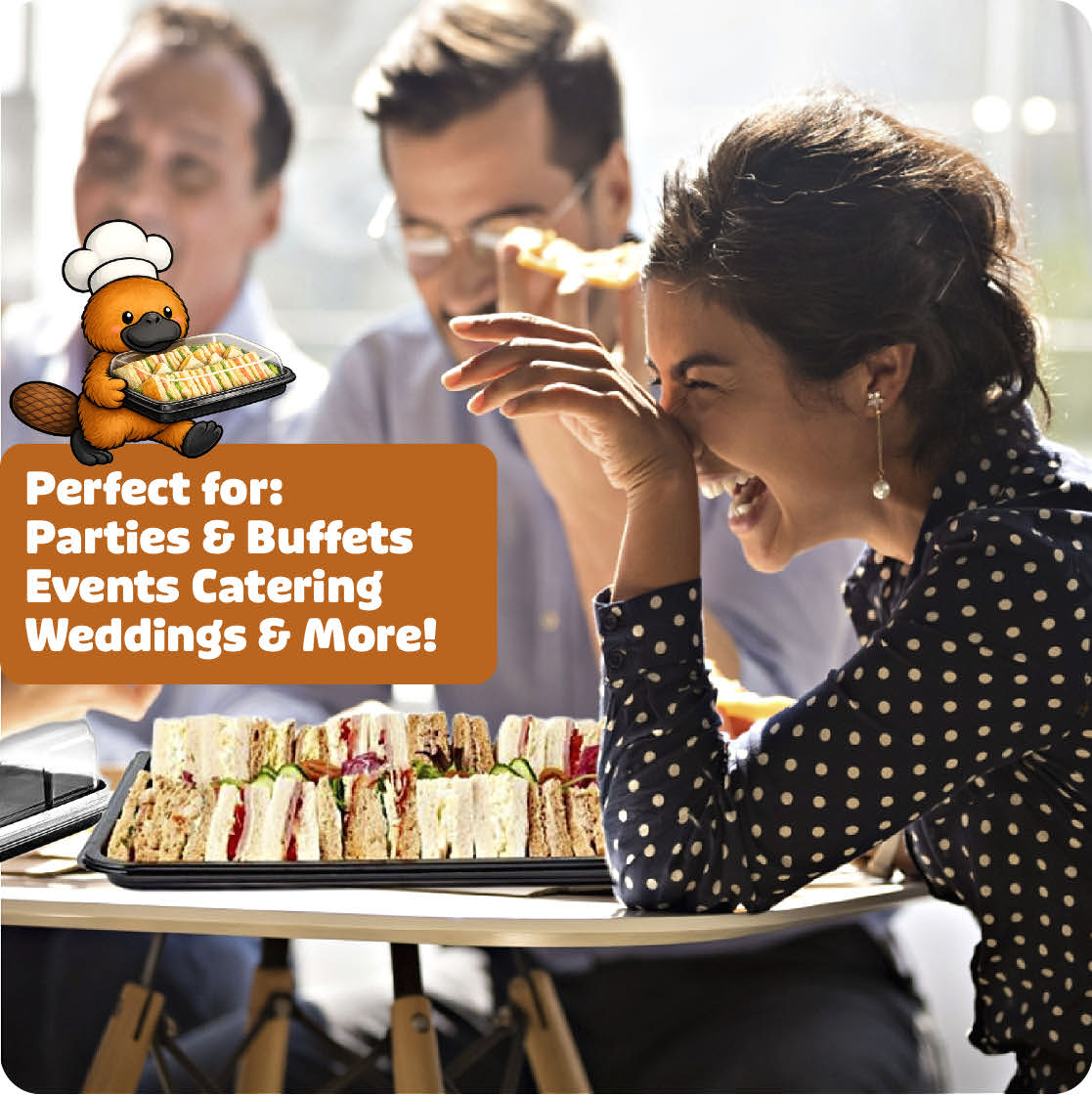 Platterplus 10 Large Sandwich Platter Trays + 10 Extra Deep Lids
